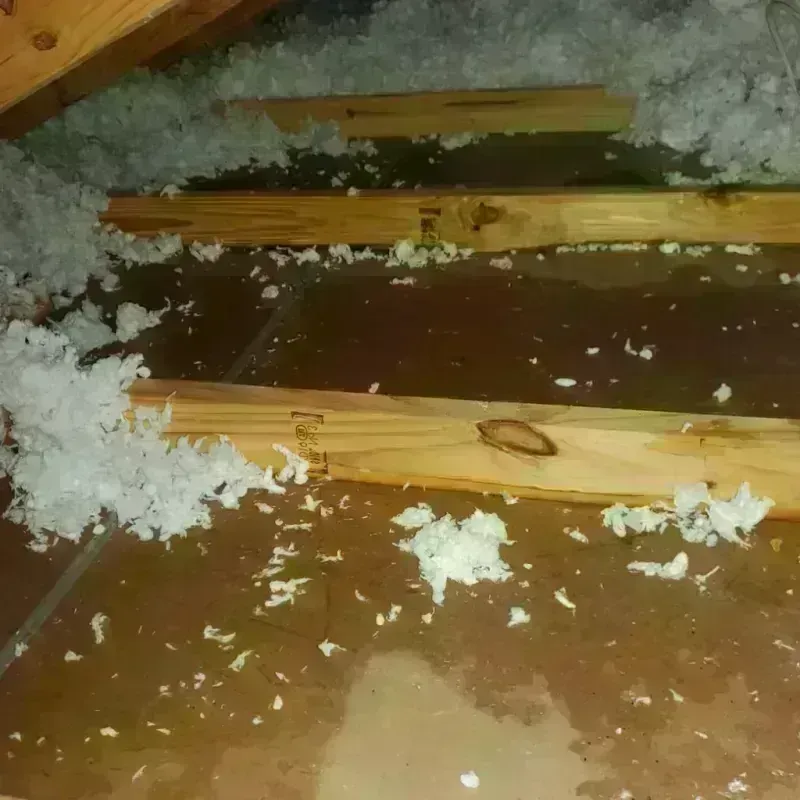 Attic Water Damage in Tuscarawas County, OH